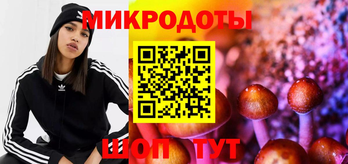 Псилоцибиновые грибы Psilocybine cubensis  Вход с VPN  Балашов 